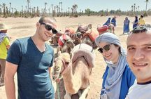 1 Hour Camel Ride Tour In Marrakech Palm Grove