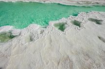 Al Wathba Fossil Dunes and Salt Lake Trip from Abu Dhabi