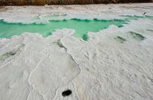 Al Wathba Salt Lake & Camel Race Track Tour from Abu Dhabi