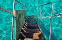 Orakadasi Boat Tour From Bodrum (Maldives of Turkey) With Lunch