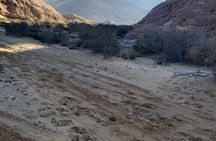 Half-Day Private Indiana Jones Petra Back Road Trial Tour 