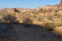 Half-Day Private Indiana Jones Petra Back Road Trial Tour 