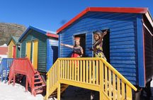 All-Inclusive Private Cape Tour: Table Mtn, Cape Point & Penguins