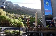 From Cape Town: Table Mountain, Cape of Good Hope & Penguins including Park Fees