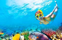 2x1 Tour: Isla Contoy, Isla Mujeres, Open Bar, Lunch and Transfers