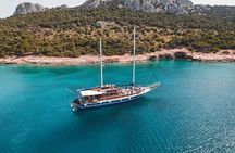 Full Day Sailing Tour from Athens to Agistri Moni and Aegina