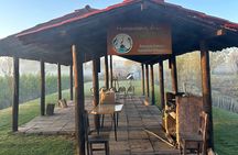 Mexico City: Xochimilco at sunrise + Breakfast and transportation
