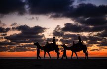 Sunset beach Camel ride with Mexican Buffet and Tequila Tasting