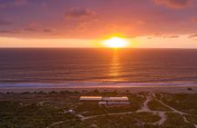 Sunset beach Camel ride with Mexican Buffet and Tequila Tasting