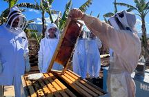 Bee Farm Ecotour and Honey Tasting