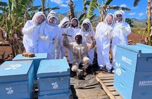 Bee Farm Ecotour and Honey Tasting