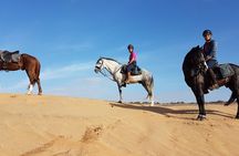Horse Ride in Agadir & Options at Sunset & Barbecue with Couscous