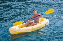 Blue Dolphin - Private Catamaran Tour - Tamarindo