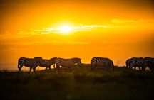 Amboseli National Park for 1 night and 2 days