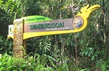 Wonder Orangutan Sarawak Semenggoh Wildlife Centre Tour 