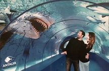 Half Day Antalya Aquarium Tour And Wax Museum