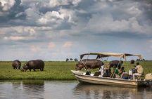Chobe Full Day Safari