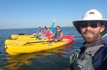 Kayak Paddling Experience at The Bay Park
