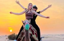 Evening Desert Safari with BBQ Dinner