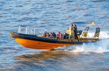PRIVATE HIRE SPEEDBOAT 'ULTIMATE TOWER RIB BLAST' FROM TOWER PIER - 40 Minutes