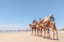 Essaouira Full Day Trip Discovery from Agadir 