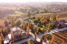 Acetaia la Vedetta Tasting Tour in Castelvetro di Modena