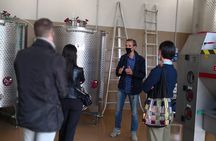 Acetaia la Vedetta Tasting Tour in Castelvetro di Modena