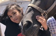 La Bufadora, Markets & Horseback Beach Ride Shore Excursion