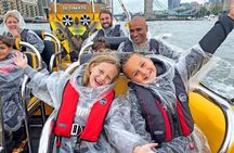 Speedboat Sightseeing: Embankment OR Westminster Pier -45 Minutes
