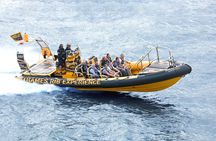 PRIVATE HIRE 45 min Speedboat Tour - Embankment/Westminster Pier