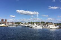 Oslo City Highlights with Fjord Cruise 