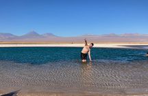 Cejar Lagoon and Ojos del Salar with Tebinquiche Tour