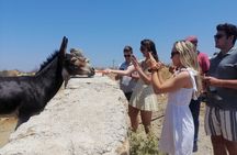 Small-Group Half-Day Tour in Mykonos