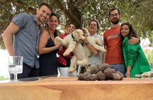 Guided Truffle Hunt in Torri in Sabina with Lunch