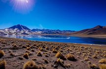 Piedras Rojas Salt Flats and Altiplanic Lagoons