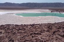 Baltinache Hidden Lagoons in Atacama