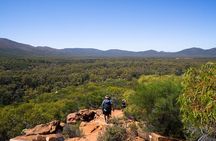 8 Day Uluru to Adelaide Cultural and Adventure Tour