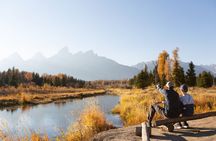 Grand Teton Wildlife and Scenery Tour with Lunch