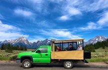 Grand Teton Wildlife Safari in a Enclosed or Open-Air Vehicle (season dependent)
