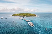 Snorkelling and Glass Bottom Boat at Green Island from Cairns