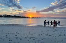 Land and Sea Adventure Tour in Providenciales