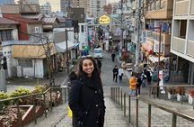 Tokyo Full Day Tour with Licensed Guide and Vehicle from Yokohama