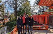 Tokyo Full Day Tour with Licensed Guide and Vehicle from Yokohama