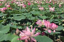 Chiso temple, Neang khmao, and Taprum temple historical site Tour
