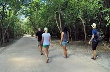 Maya Adventure from Cancun Coba and Tulum Ruins with Cenote swim