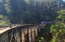 Full Day Tour to Udawalawe Safari and Ella