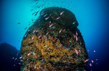 Immersion in Banco Santa Croce from Sorrento with Expert Guide