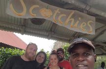 Private Tour to Blue Hole and Scotchies in Ocho Rios