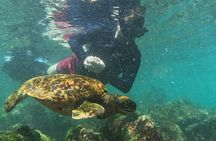 Full Day Tour Pinzon Island + La Fe/Las Palmas - Snorkeling & Fishing