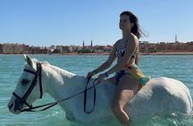 3-Hours Horse Riding and Swimming in Red Sea on the Beach and Dessert Hurghada